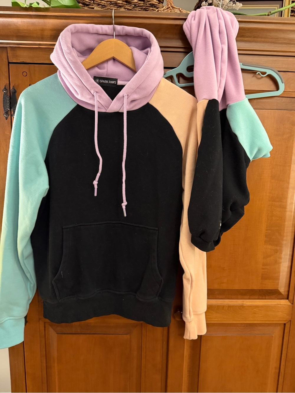 Spark Paws Cyber Punk Matching Human & Dog Hoodie Set Colorblock